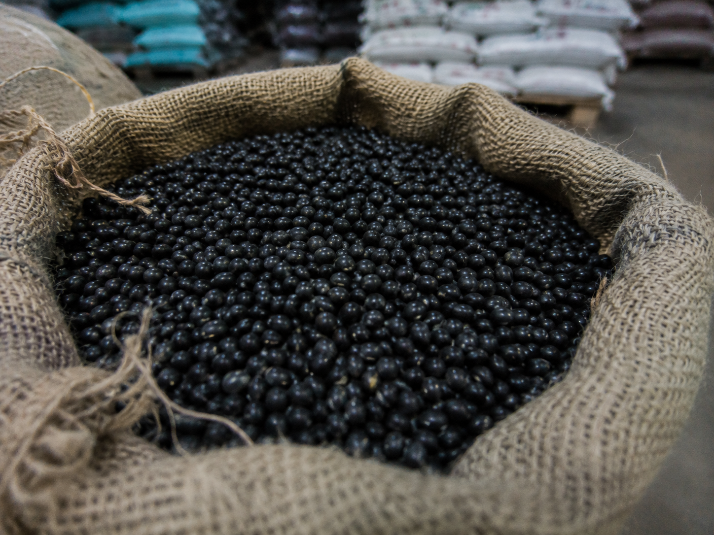 Black Beans